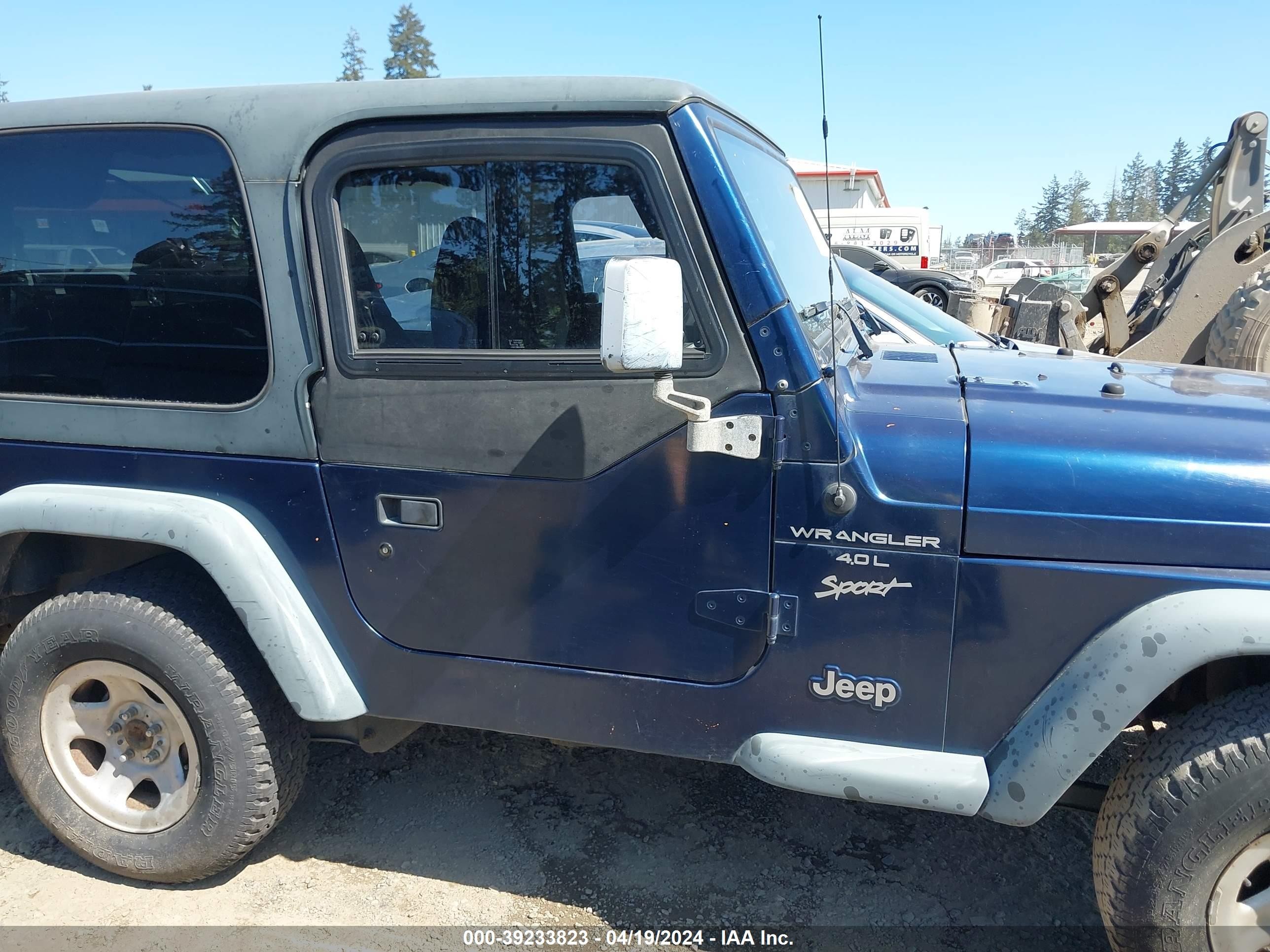 Photo 12 VIN: 1J4FA49S9YP712944 - JEEP WRANGLER 