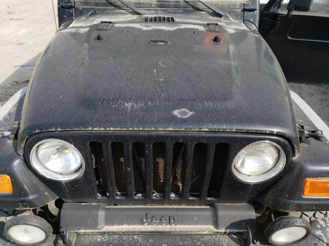 Photo 10 VIN: 1J4FA49S9YP786493 - JEEP WRANGLER 