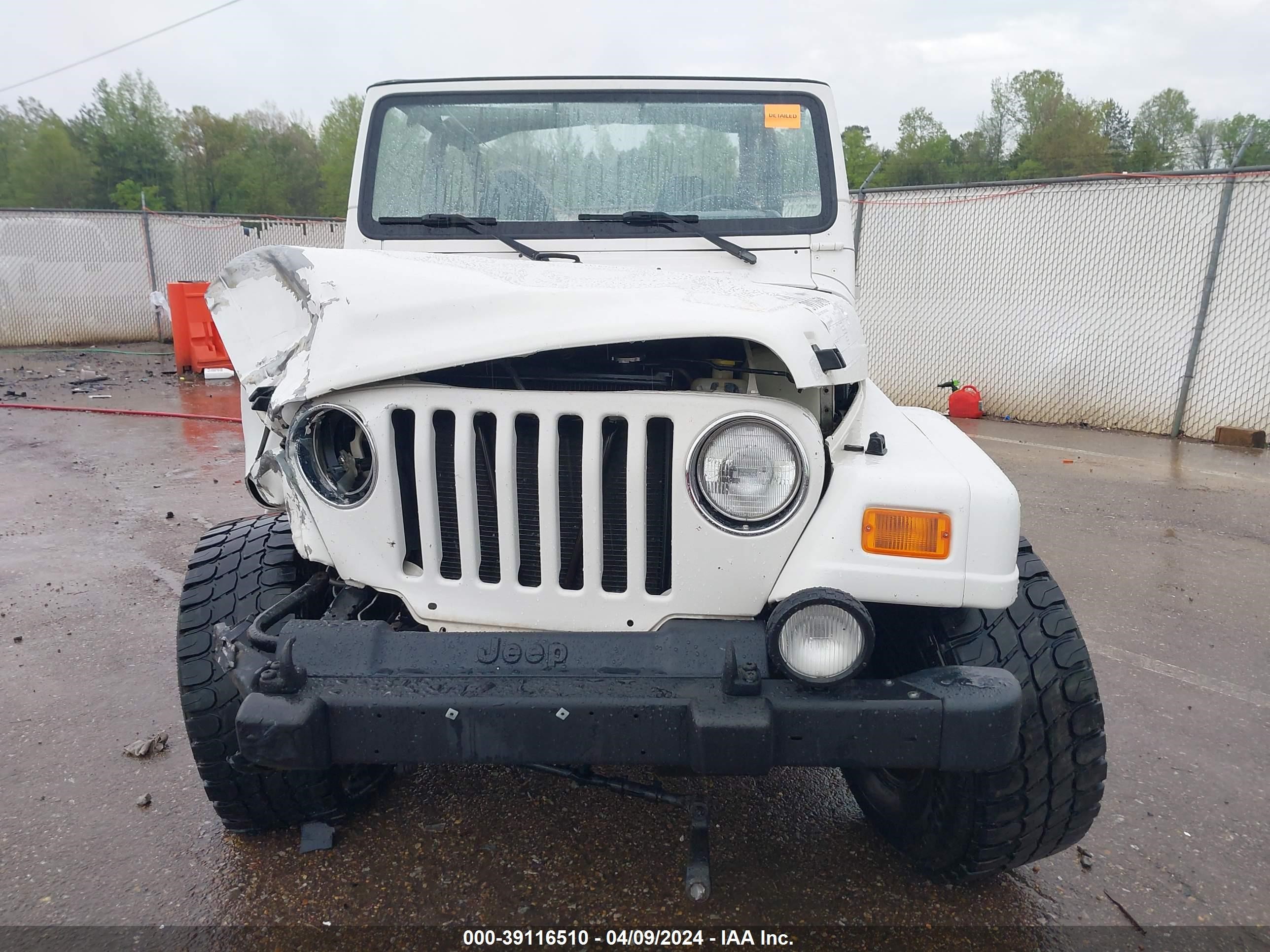 Photo 10 VIN: 1J4FA59S4YP768859 - JEEP WRANGLER 