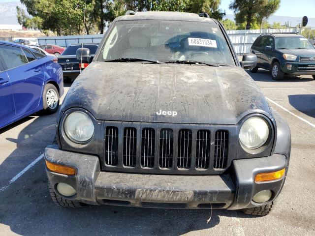 Photo 4 VIN: 1J4GK58K73W655019 - JEEP LIBERTY LI 