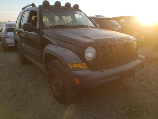 Photo 0 VIN: 1J4GL38K16W133685 - JEEP LIBERTY RE 