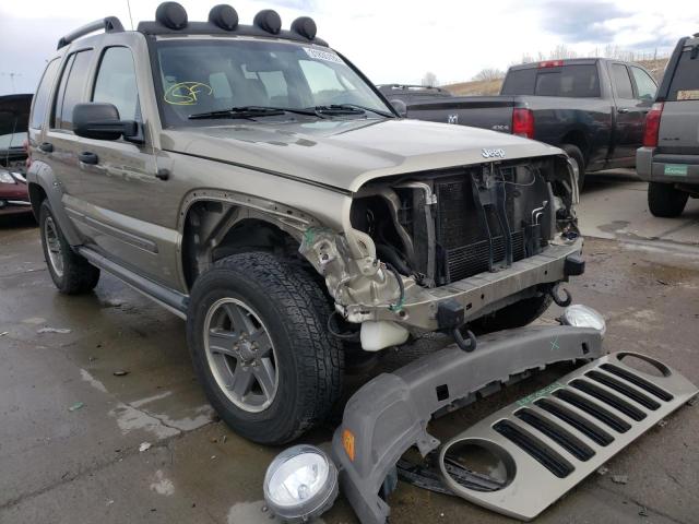 Photo 0 VIN: 1J4GL38K16W262509 - JEEP LIBERTY RE 