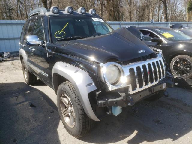 Photo 0 VIN: 1J4GL38K74W254198 - JEEP LIBERTY RE 