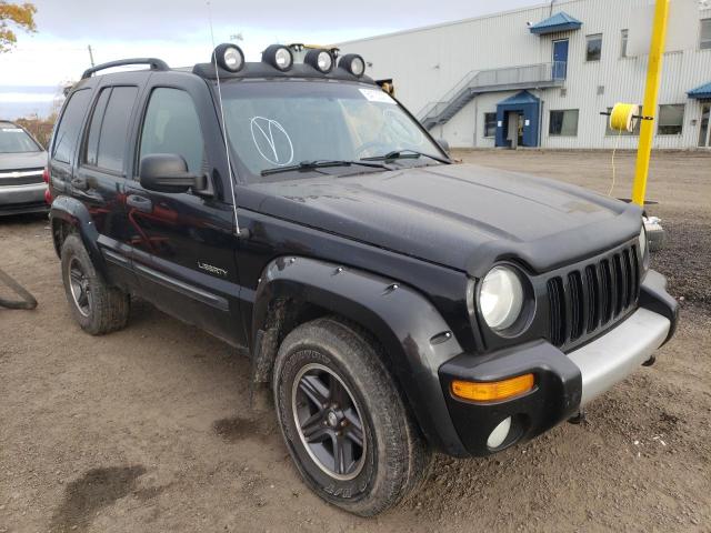 Photo 0 VIN: 1J4GL38K84W312495 - JEEP LIBERTY RE 