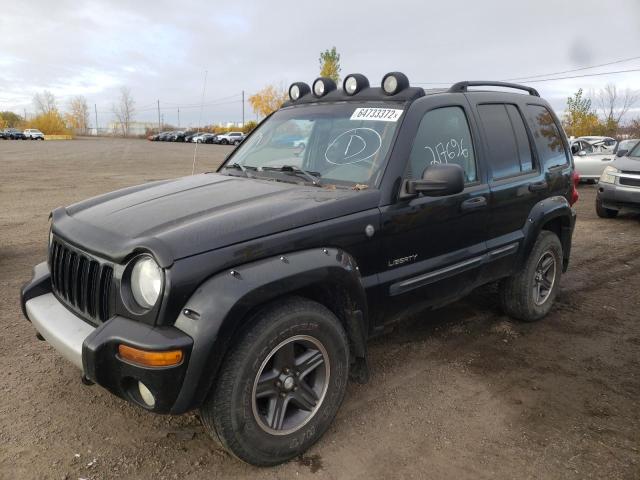 Photo 1 VIN: 1J4GL38K84W312495 - JEEP LIBERTY RE 