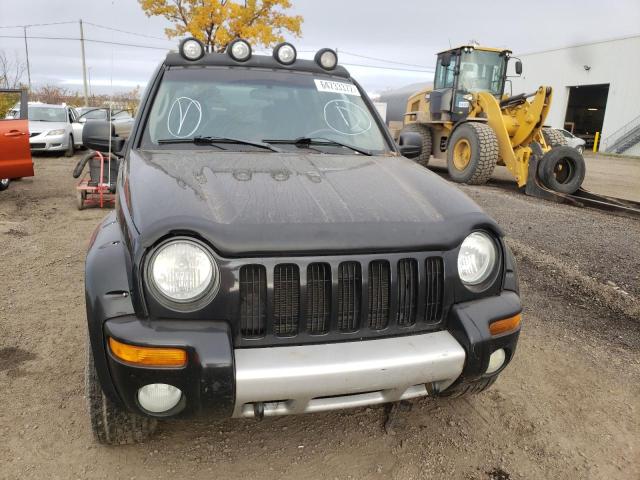 Photo 8 VIN: 1J4GL38K84W312495 - JEEP LIBERTY RE 