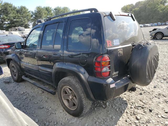 Photo 1 VIN: 1J4GL38KX3W729857 - JEEP LIBERTY RE 