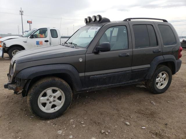 Photo 0 VIN: 1J4GL48K55W602488 - JEEP LIBERTY 