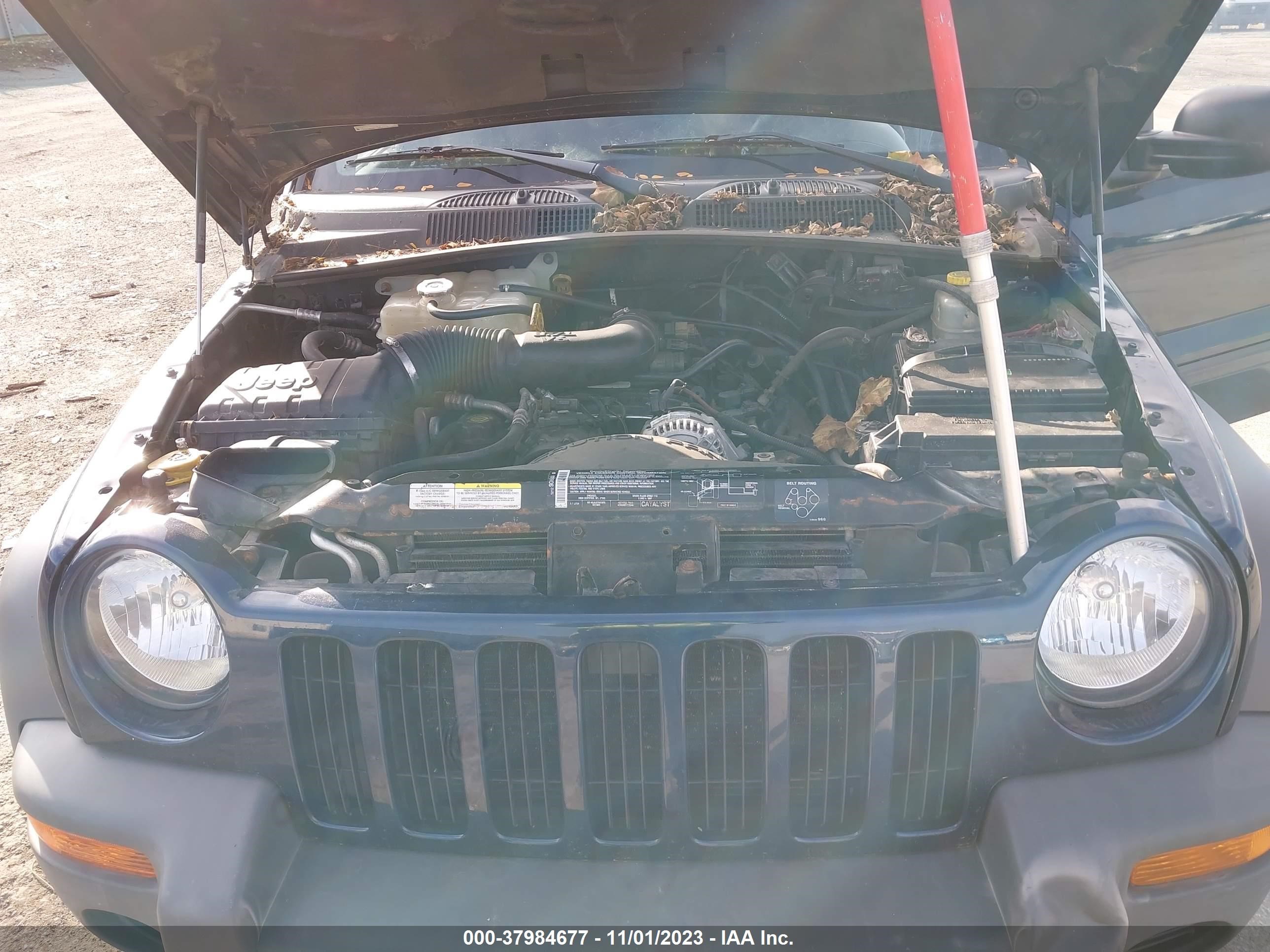 Photo 9 VIN: 1J4GL48K64W145205 - JEEP LIBERTY (NORTH AMERICA) 