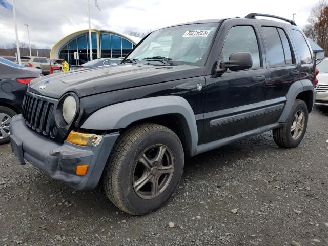 Photo 0 VIN: 1J4GL48K87W646391 - JEEP LIBERTY 