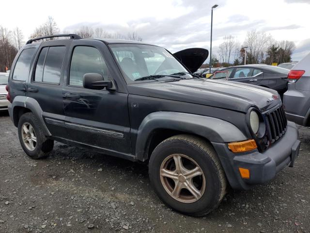 Photo 3 VIN: 1J4GL48K87W646391 - JEEP LIBERTY 