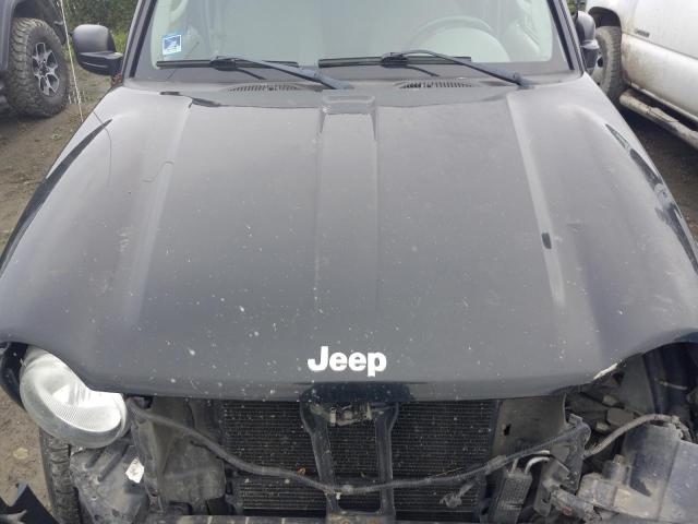 Photo 10 VIN: 1J4GL48K93W656454 - JEEP LIBERTY SP 