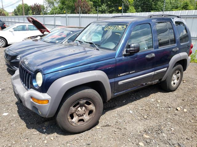 Photo 0 VIN: 1J4GL48KX3W549509 - JEEP LIBERTY 