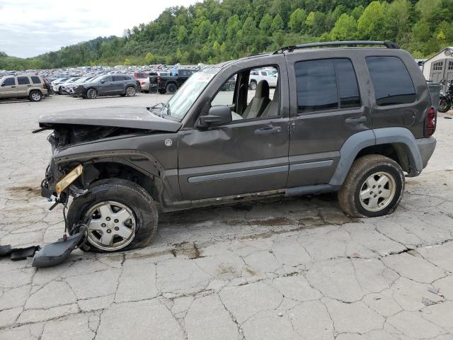 Photo 0 VIN: 1J4GL48KX6W102764 - JEEP LIBERTY SP 