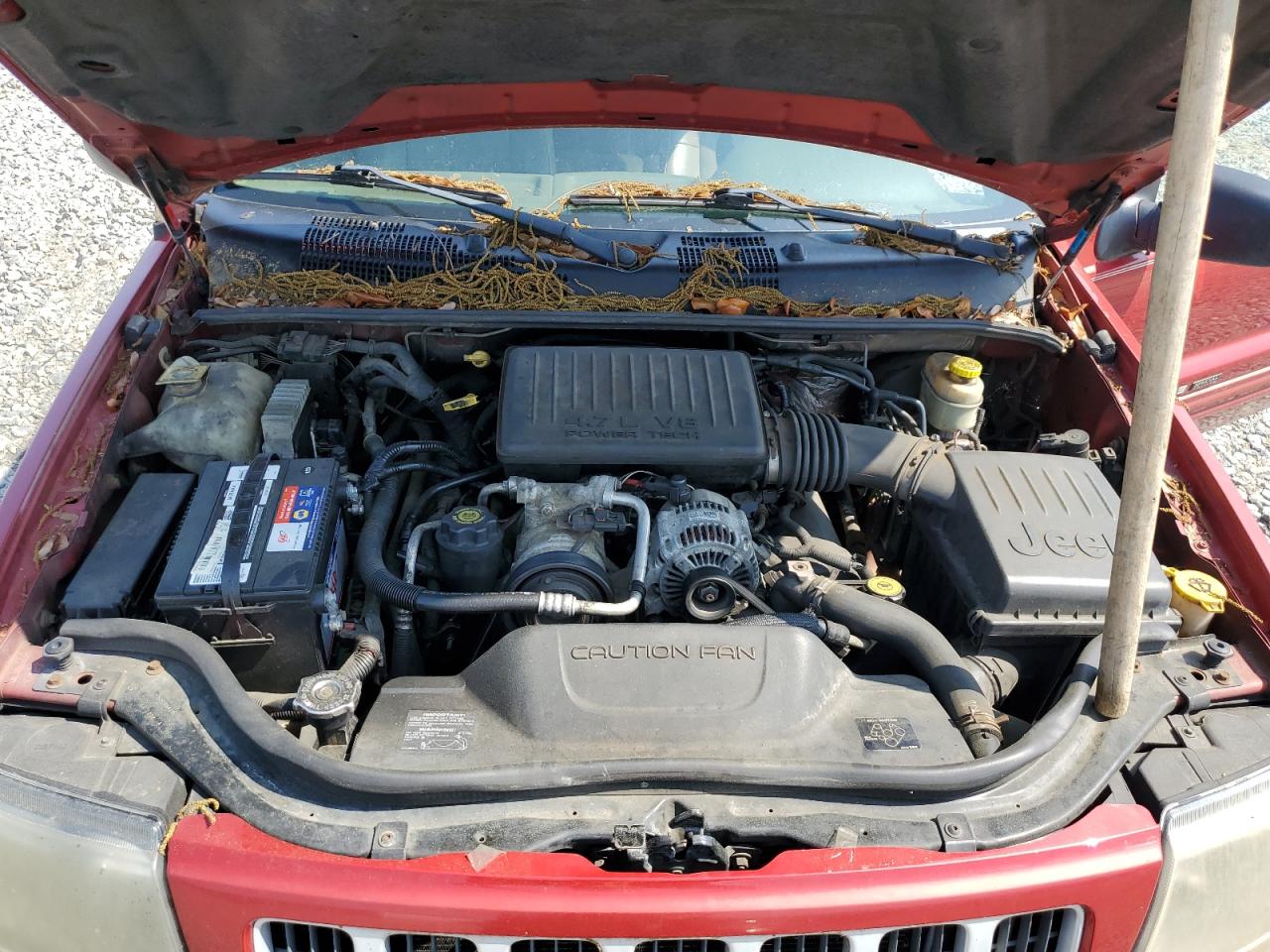 Photo 11 VIN: 1J4GW48N24C259818 - JEEP GRAND CHEROKEE 