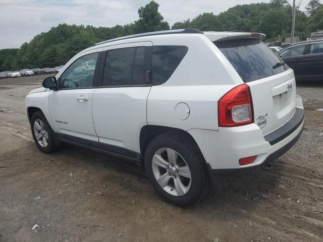 Photo 1 VIN: 1J4NF1FB6BD154415 - JEEP COMPASS SP 