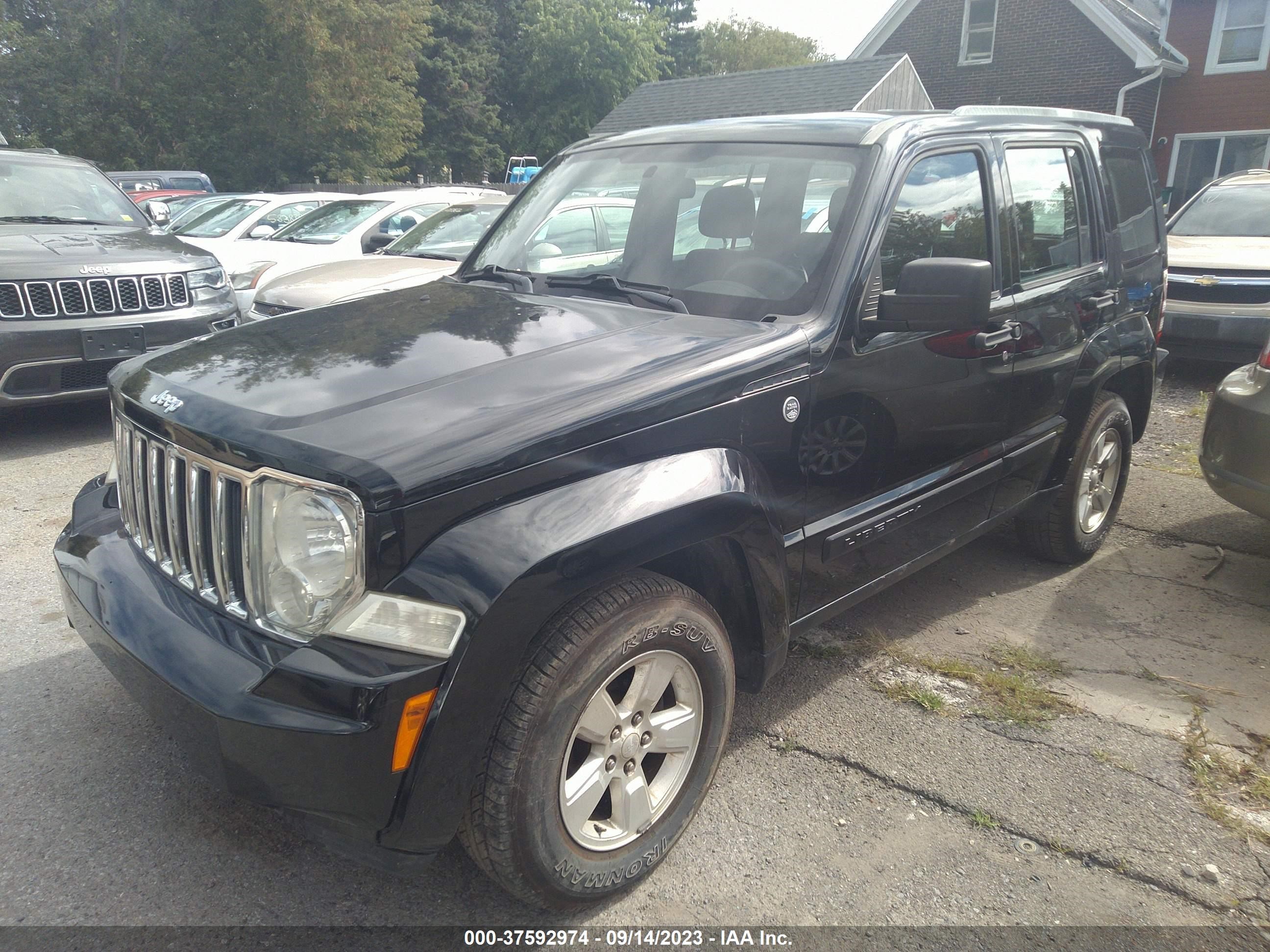 Photo 1 VIN: 1J4PN2GK3BW516835 - JEEP LIBERTY (NORTH AMERICA) 