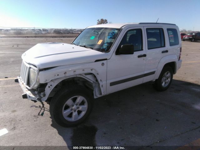 Photo 1 VIN: 1J4PN2GK3BW579322 - JEEP LIBERTY 