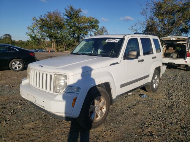 Photo 1 VIN: 1J4PP2GK5BW535090 - JEEP LIBERTY SP 