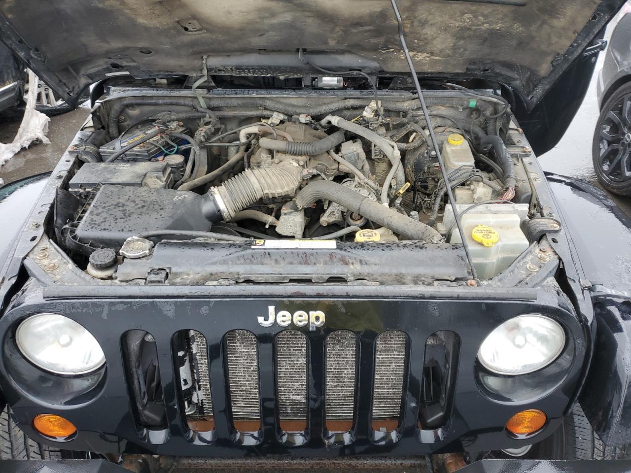 Photo 11 VIN: 1J8GA591X8L586438 - JEEP WRANGLER 