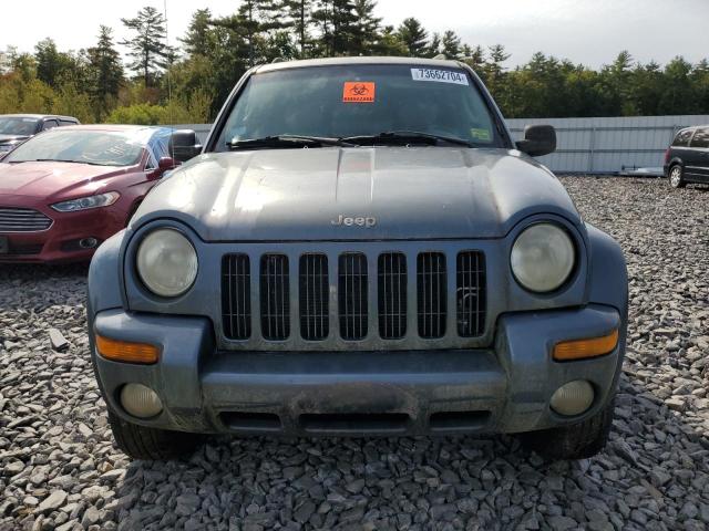 Photo 4 VIN: 1J8GL58K82W254749 - JEEP LIBERTY LI 