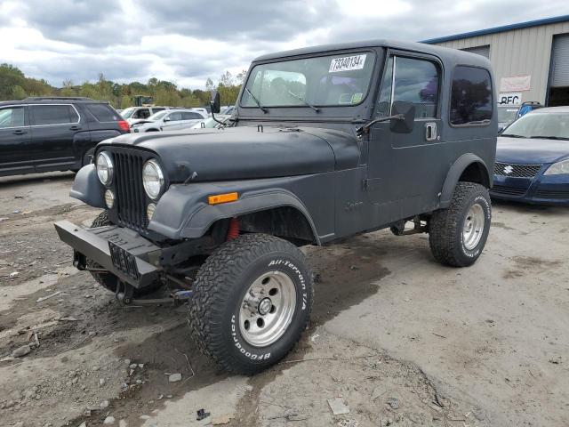 Photo 0 VIN: 1JCCF87A1GT015090 - JEEP JEEP CJ7 