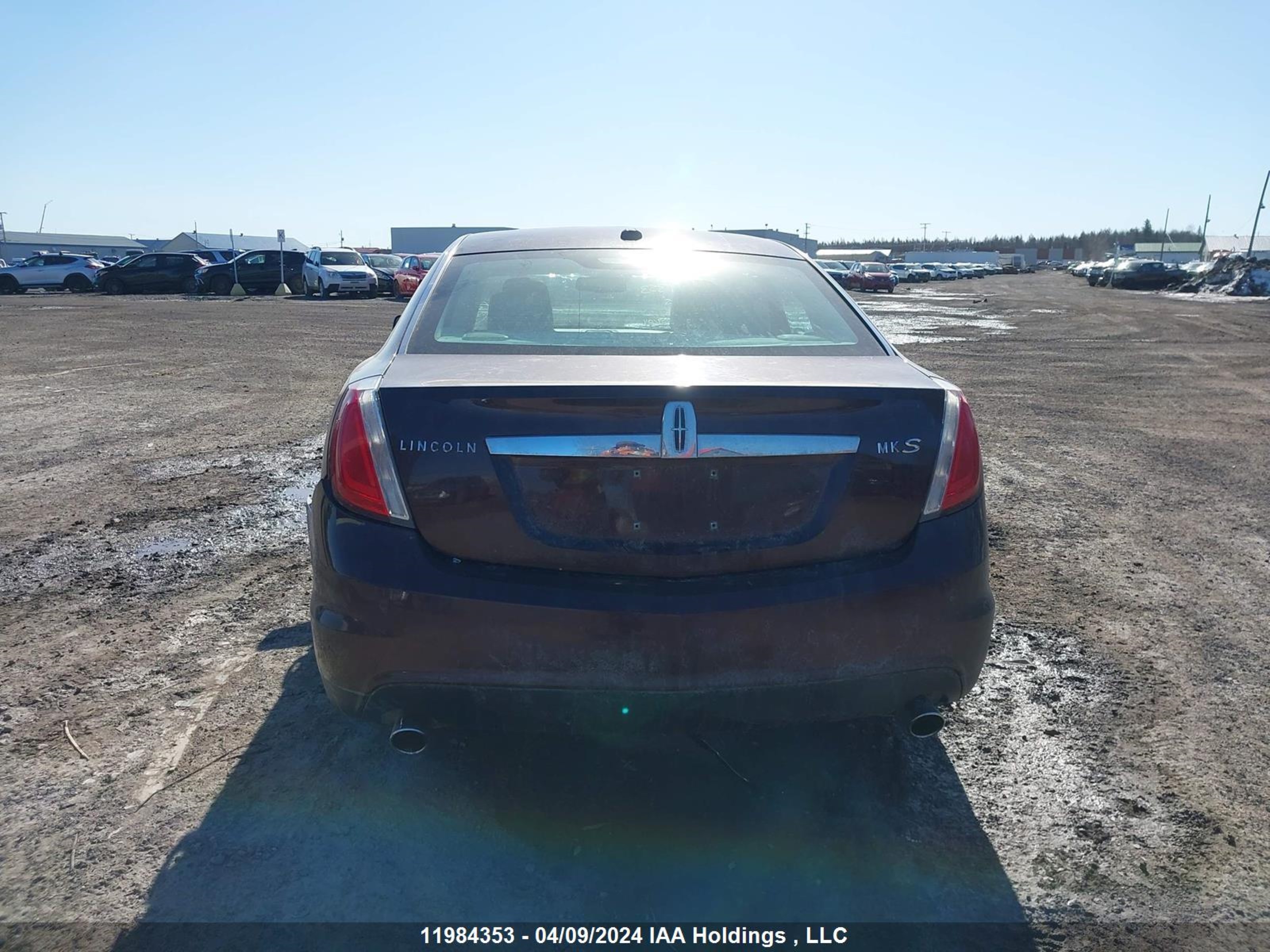 Photo 15 VIN: 1LNHM93R19G610396 - LINCOLN MKS 