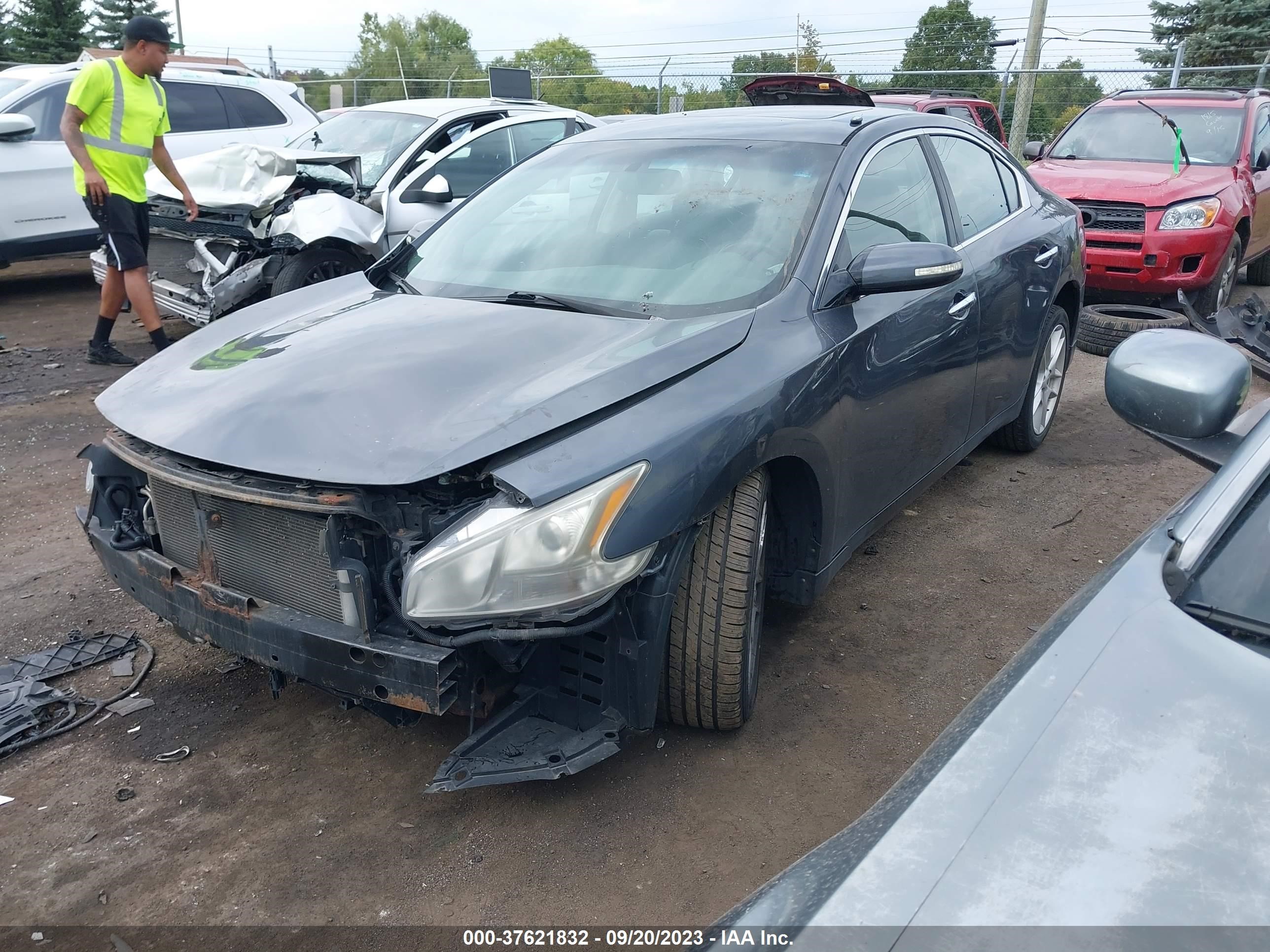 Photo 1 VIN: 1N4AA51E09C804227 - NISSAN MAXIMA 