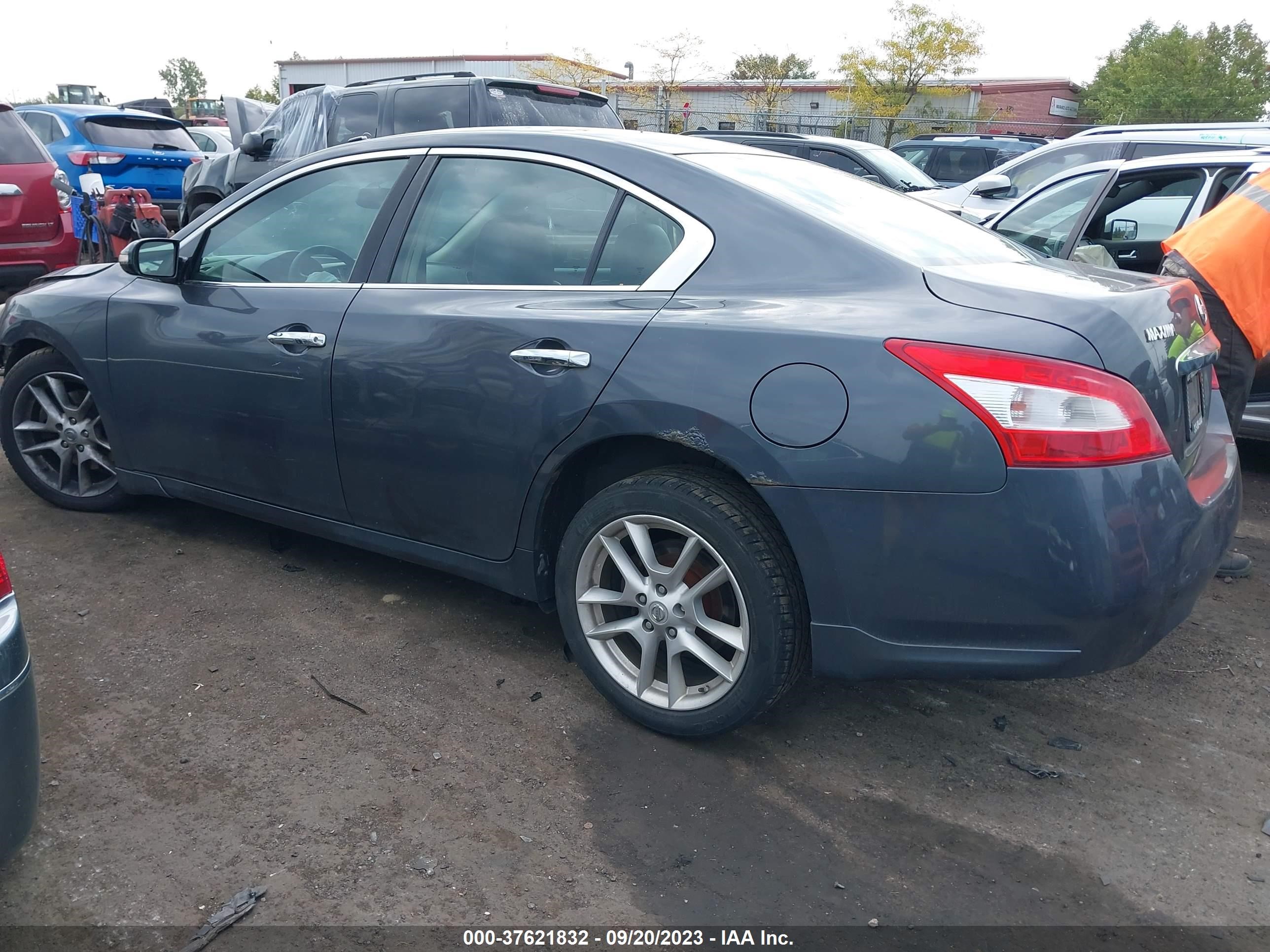 Photo 2 VIN: 1N4AA51E09C804227 - NISSAN MAXIMA 