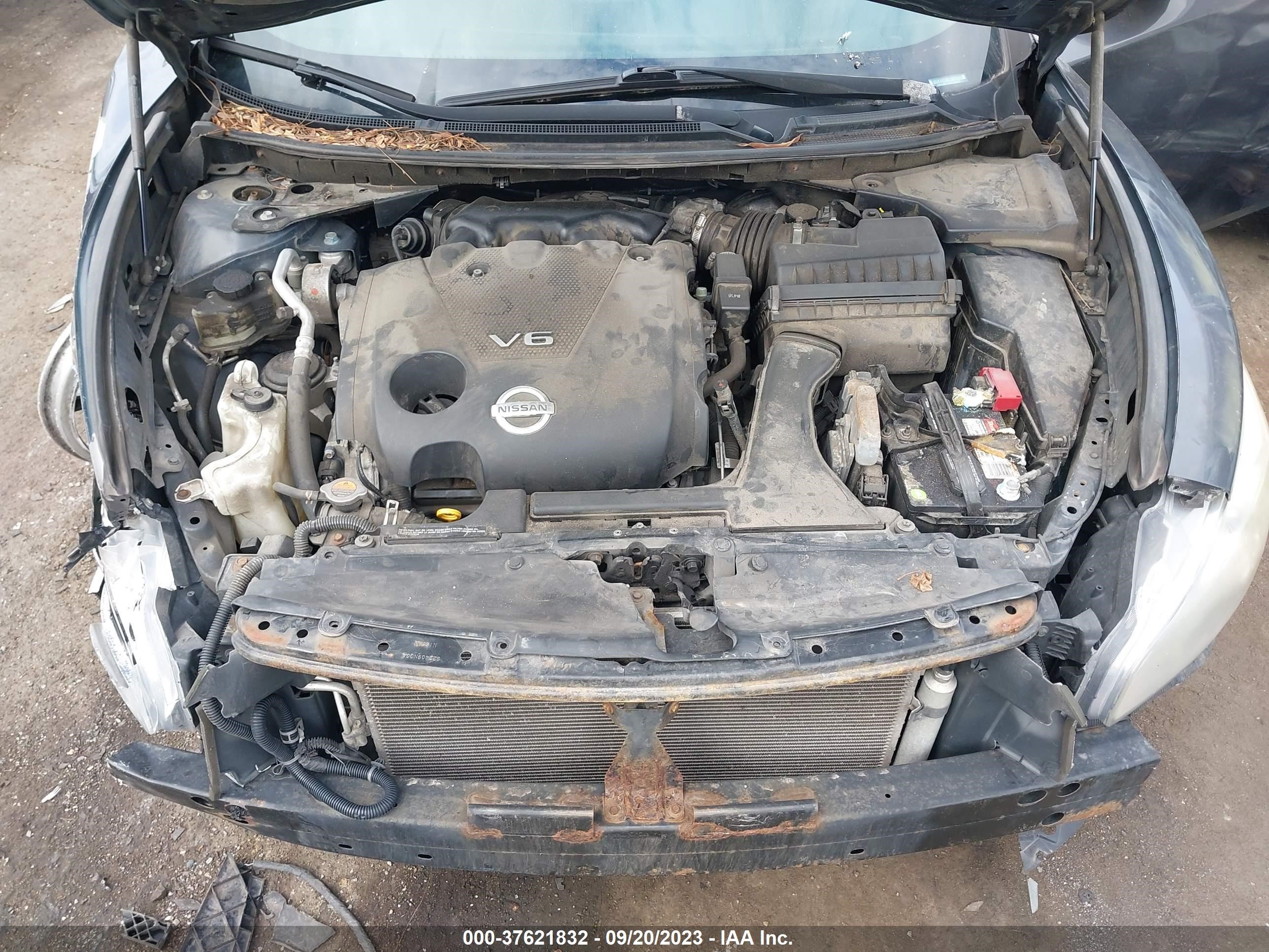 Photo 9 VIN: 1N4AA51E09C804227 - NISSAN MAXIMA 