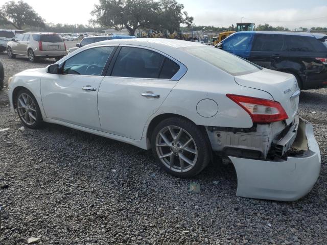 Photo 1 VIN: 1N4AA51E09C805362 - NISSAN MAXIMA S 