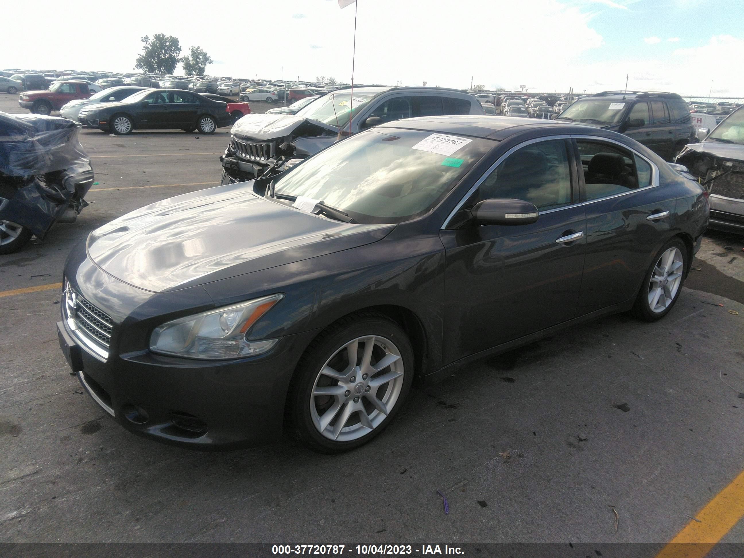 Photo 1 VIN: 1N4AA51E09C814546 - NISSAN MAXIMA 