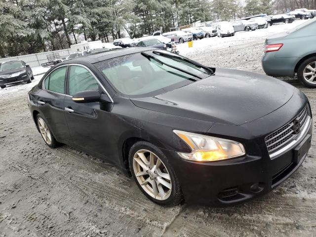 Photo 3 VIN: 1N4AA51E09C821237 - NISSAN MAXIMA 