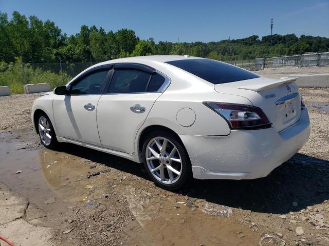 Photo 1 VIN: 1N4AA51E09C828396 - NISSAN MAXIMA 