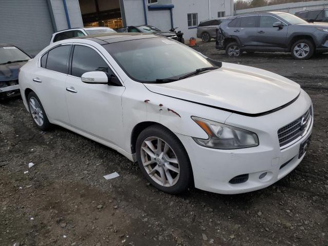 Photo 3 VIN: 1N4AA51E09C842749 - NISSAN MAXIMA 