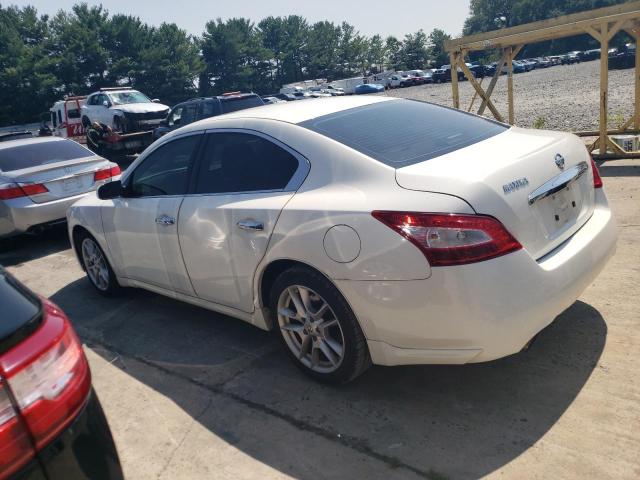 Photo 1 VIN: 1N4AA51E09C858711 - NISSAN MAXIMA 