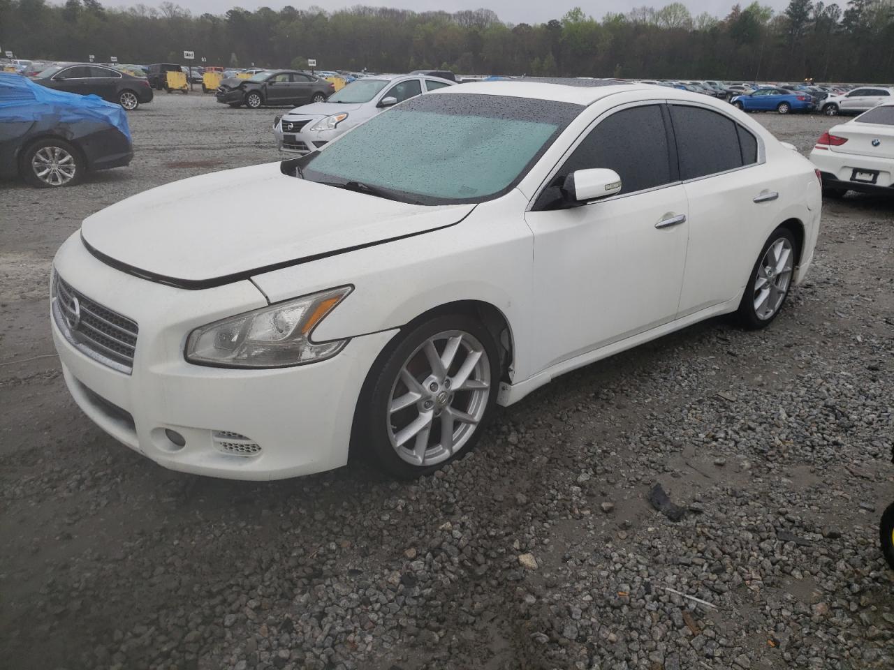 Photo 0 VIN: 1N4AA51E19C800929 - NISSAN MAXIMA 