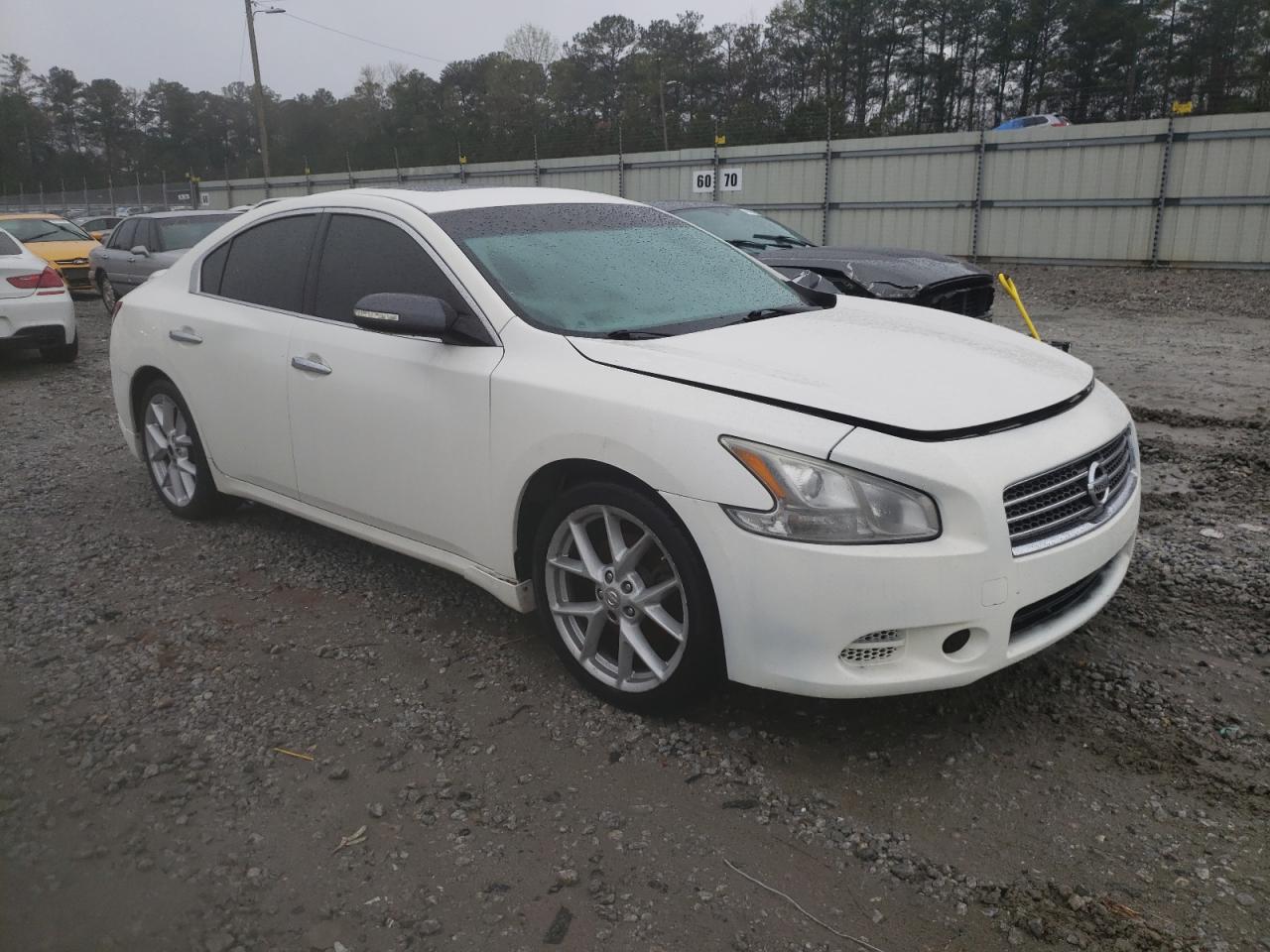 Photo 3 VIN: 1N4AA51E19C800929 - NISSAN MAXIMA 