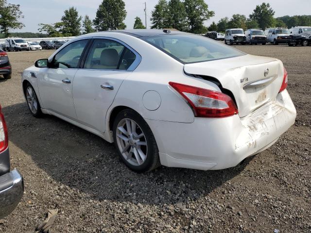 Photo 1 VIN: 1N4AA51E19C801174 - NISSAN MAXIMA S 