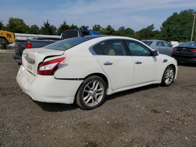 Photo 2 VIN: 1N4AA51E19C801174 - NISSAN MAXIMA S 