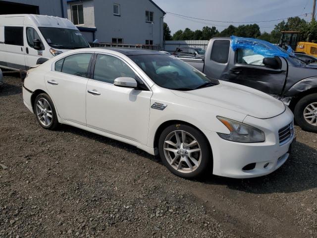 Photo 3 VIN: 1N4AA51E19C801174 - NISSAN MAXIMA S 