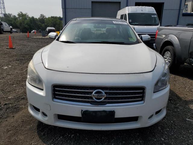 Photo 4 VIN: 1N4AA51E19C801174 - NISSAN MAXIMA S 