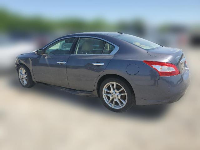 Photo 1 VIN: 1N4AA51E19C808710 - NISSAN MAXIMA 