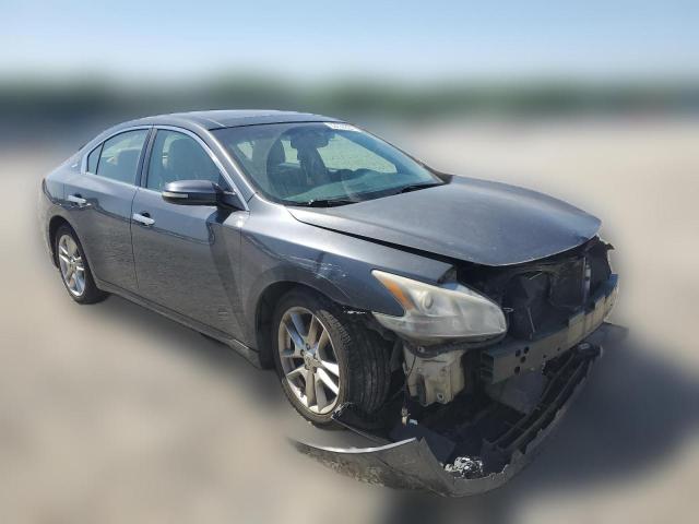 Photo 3 VIN: 1N4AA51E19C808710 - NISSAN MAXIMA 