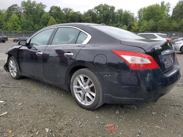 Photo 1 VIN: 1N4AA51E19C821201 - NISSAN MAXIMA S 