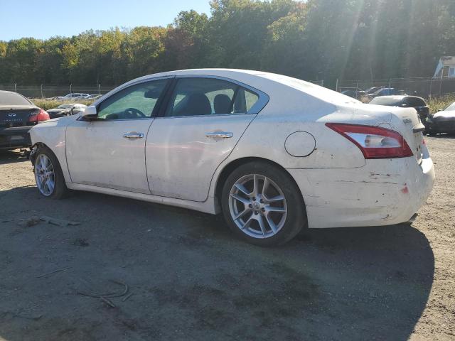 Photo 1 VIN: 1N4AA51E19C823787 - NISSAN MAXIMA S 