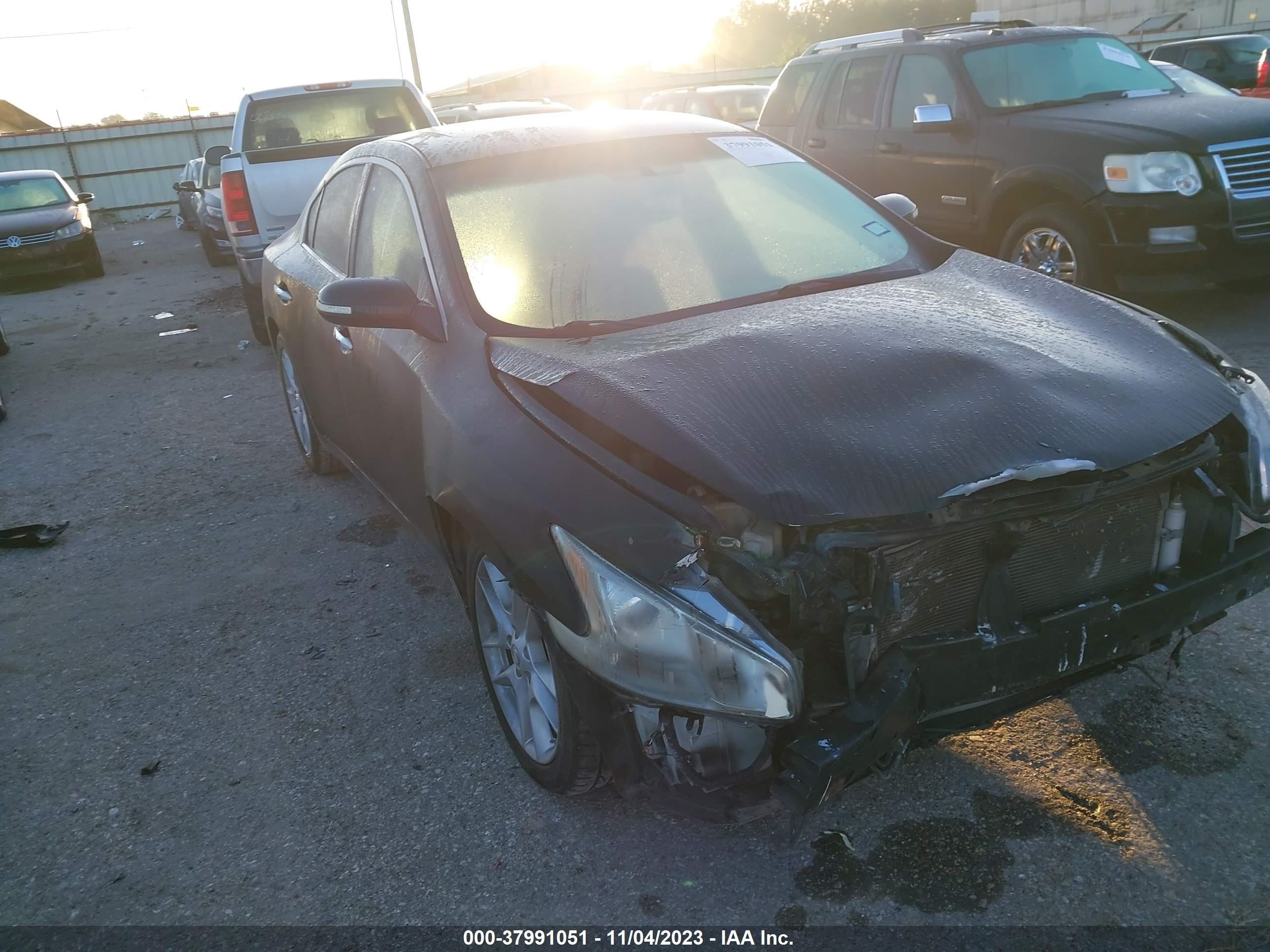 Photo 0 VIN: 1N4AA51E19C828892 - NISSAN MAXIMA 