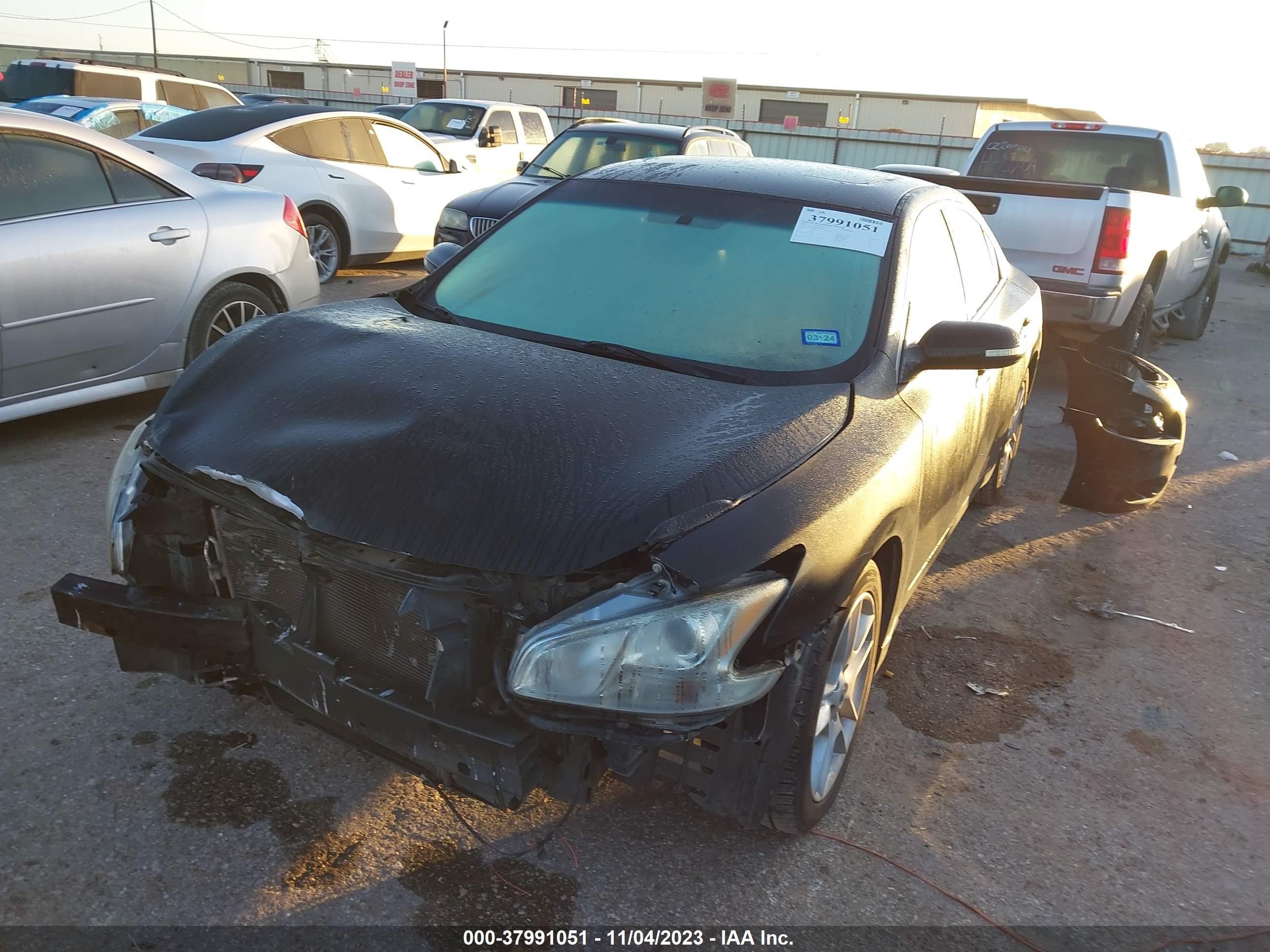 Photo 1 VIN: 1N4AA51E19C828892 - NISSAN MAXIMA 