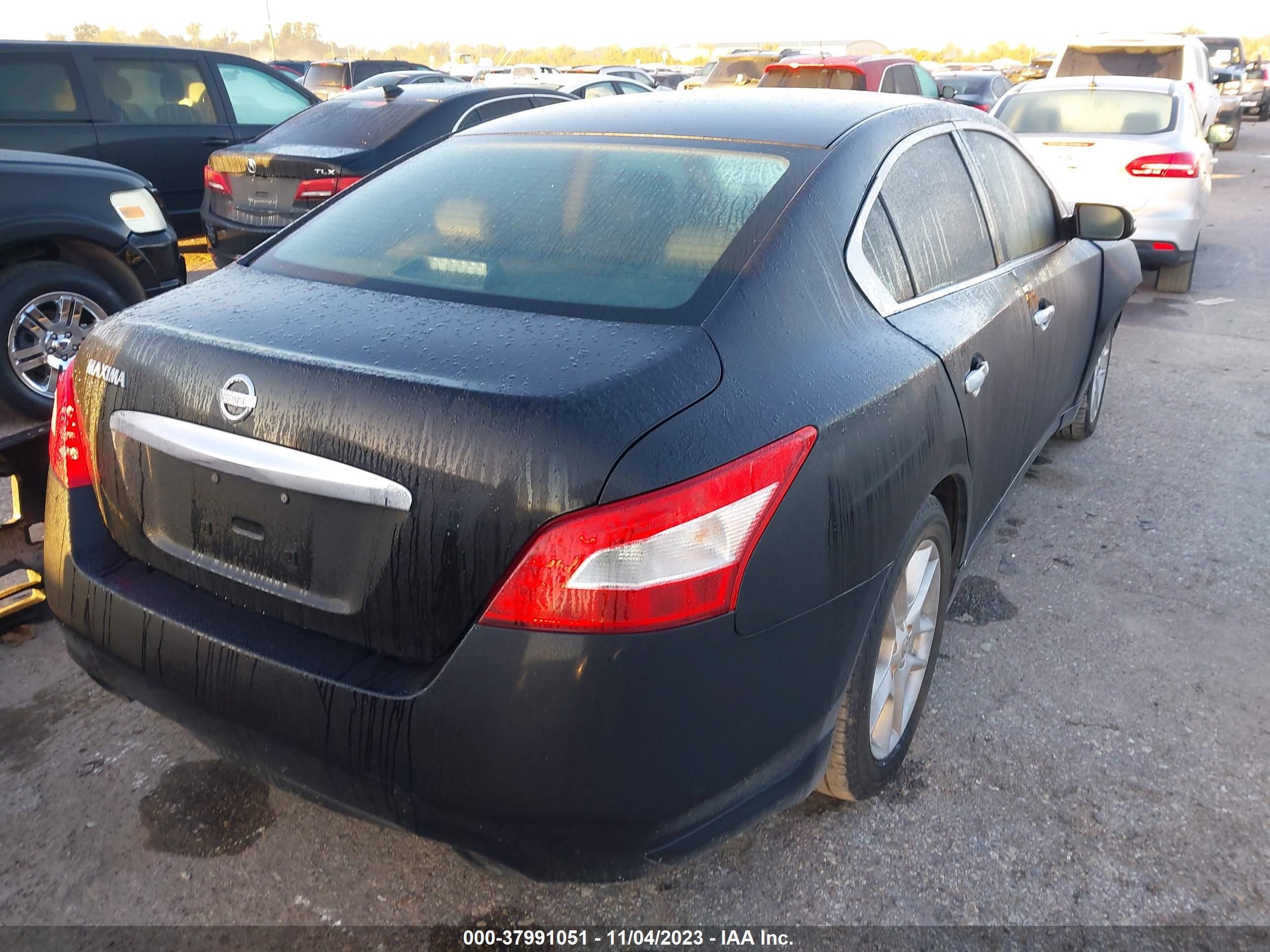 Photo 3 VIN: 1N4AA51E19C828892 - NISSAN MAXIMA 