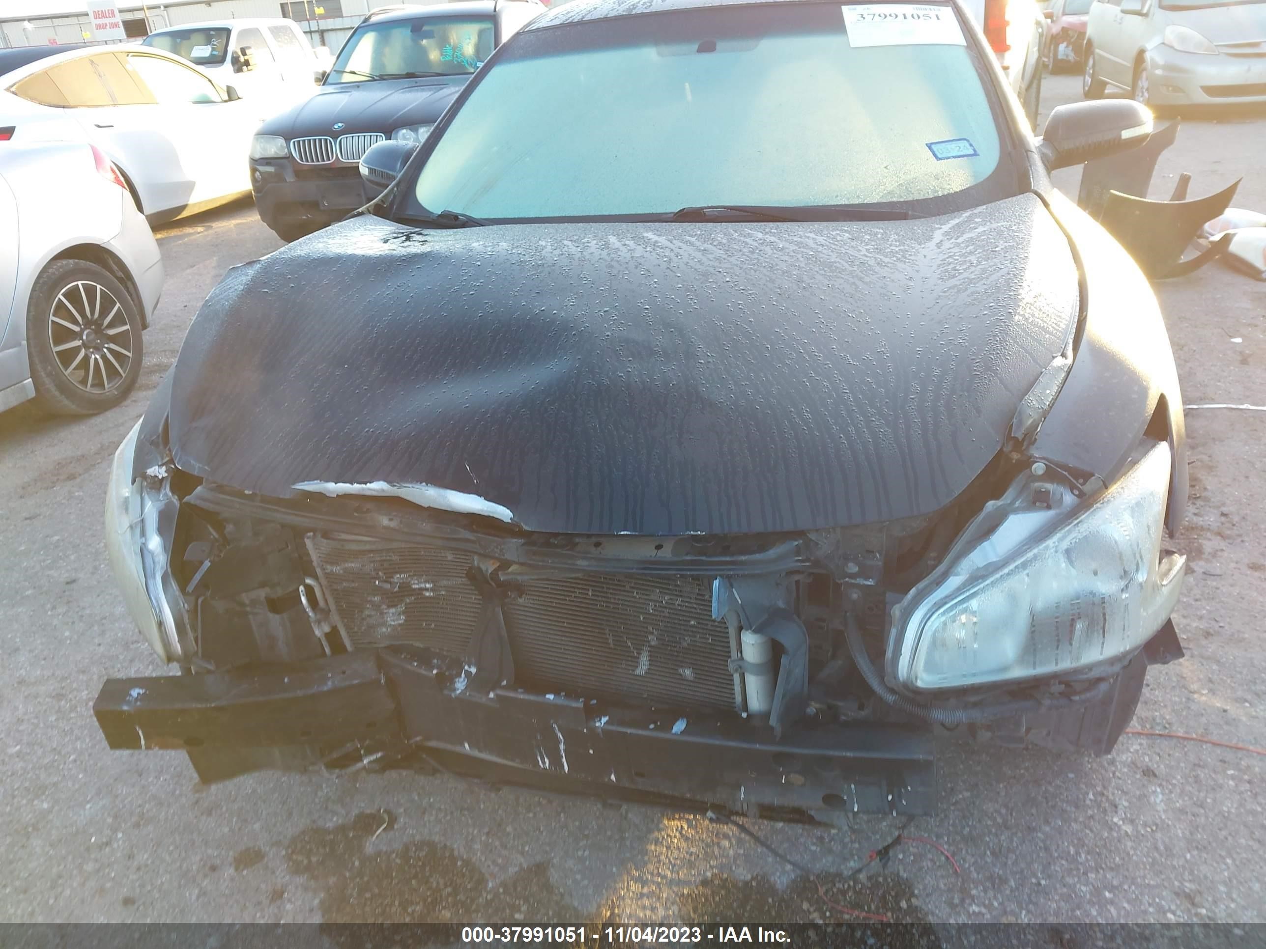 Photo 5 VIN: 1N4AA51E19C828892 - NISSAN MAXIMA 